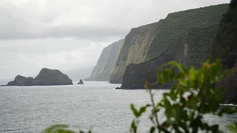 Cliff coastline 5 Stock Footage 155494532