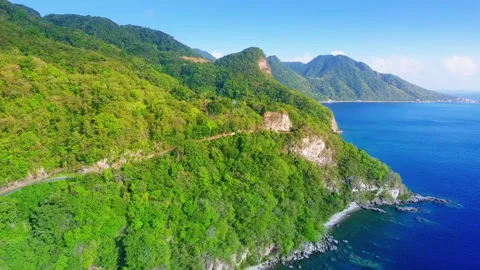 Cliff covered by the forest Video stock 138221391