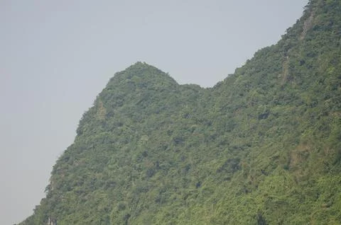 Cliff covered with forest. Foto stock
