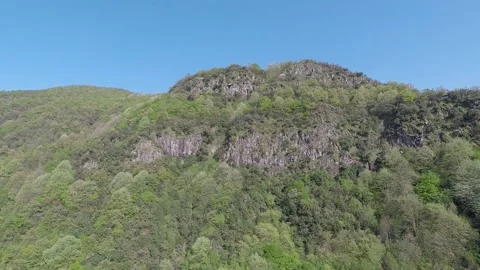 Cliff covered with green forest Stock Footage 186109013