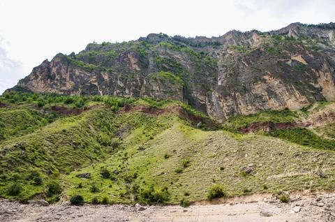 A cliff covered with sparse vegetation. Stock Photos