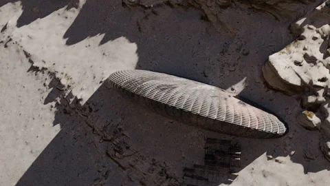 Cliff Dig Site for UFO Stock Footage 281528058