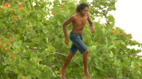 Cliff Diving  Stock Footage 22158112