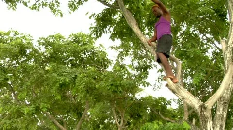 Cliff Diving off High Tree Branch Stock Footage 22159322