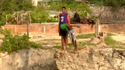 Cliff Diving Rick's Cafe Stock Footage 22159328