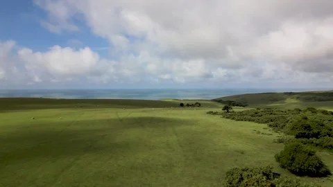 Cliff Edge flight seven sisters UK Stock Footage 246371680