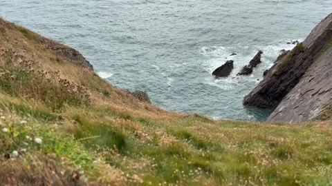 Cliff edge footage down to the cliffs and sea below. Stock Footage 247019648