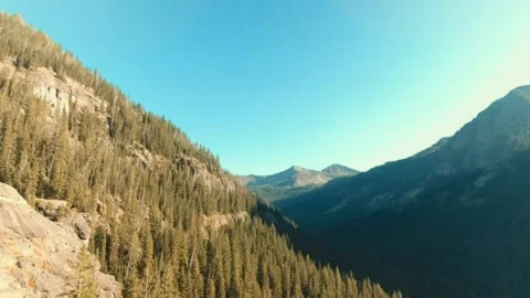 Cliff face contour shot in a forested canyon in the Northern Rocky Mountains Stock Footage 137370157