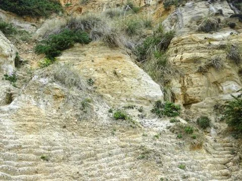 Cliff Face With Flora Background Stock Photos