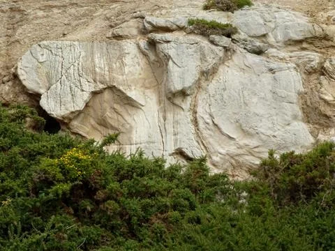 Cliff Face With Trees Stock Photos