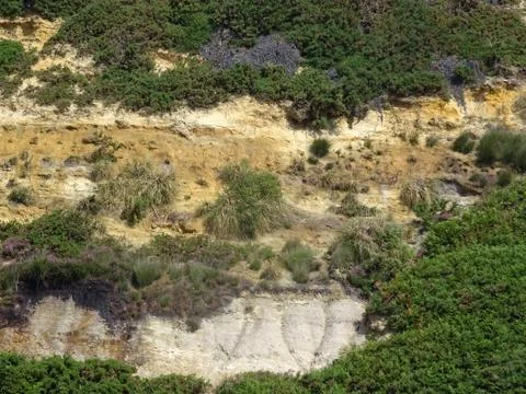 Cliff Face With Vegetation Stock Photos