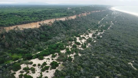 Cliff Fly Over in Costa da Caparica, Portugal Stock Footage 145938261