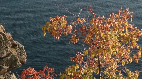 Cliff Stock Footage 8765328