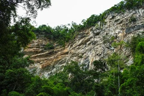 Cliff in the forest Stock Photos