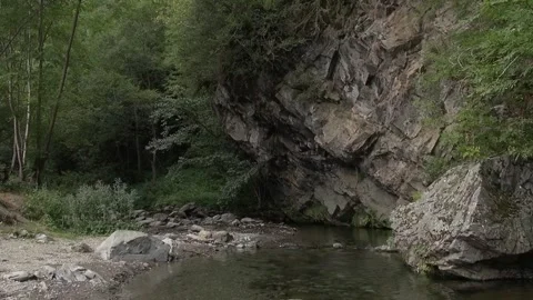 Cliff forest water pond rocks stone trees nature plants beauty afternoon Stock Footage 332649821