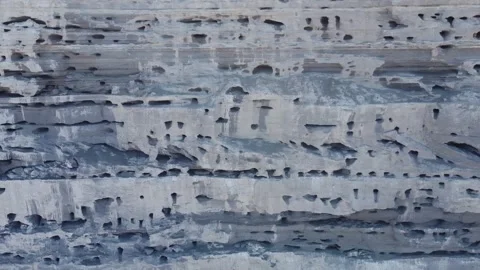 Cliff full of nests of the burrowing parakeet on the coastline of Argentina Video stock 264921438
