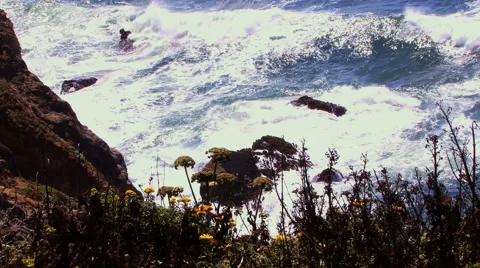 Cliff at the Ocean HD Stock Footage 41171636