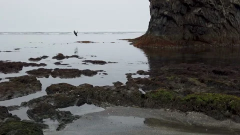 Cliff with ocean view Stockbeeldmateriaal 155966482