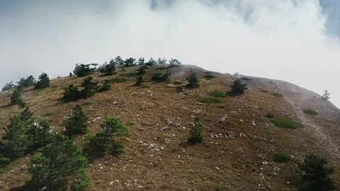 A cliff over which a fluffy cloud falls. Pines and yellow grass grow on it Stock Footage 220996952