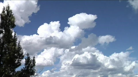 Cliff Palace Broll Video stock 329390