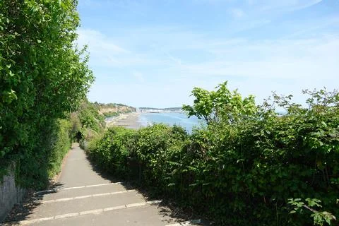 Cliff path above the beach on summer day with green foliage and blue sky. Stock Photos