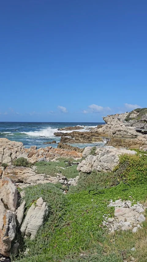 Cliff Path through Fynbos, Hermanus, South Africa – Vertical 8K Stock Footage 347920459