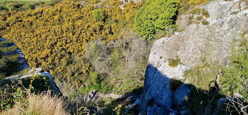 The Cliff Stock Photos