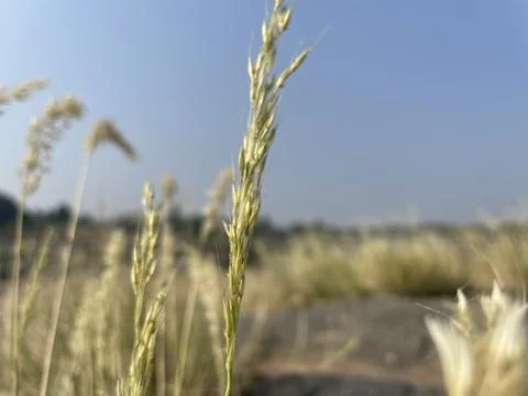Cliff in the river Stock Photos
