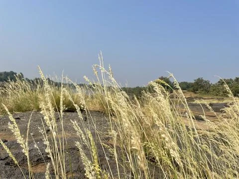 Cliff in the river Stock Photos