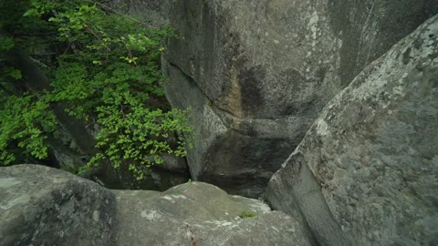 Cliff rock in dense forest Video stock 161483237