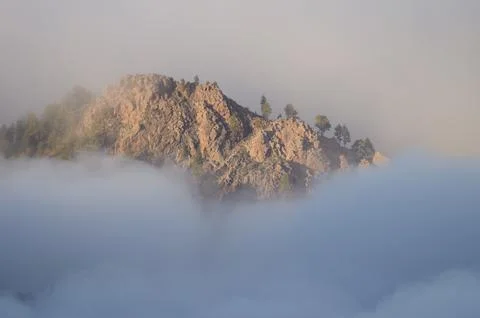 Cliff in a sea of clouds. Stock Photos