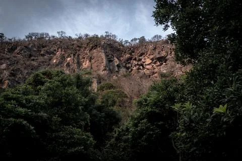 Cliff seen from below in the forest Foto stock