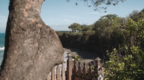 Cliff shore, tree in a foreground, slider Stock Footage 61910319