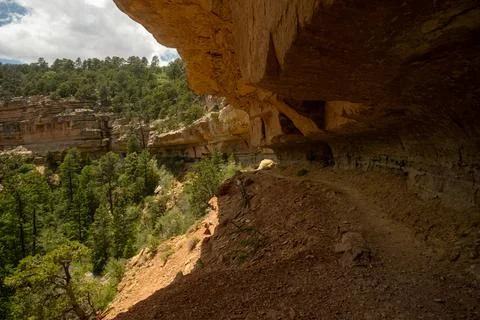 Cliff Spring Trail Cuts Under The North Rim Of The Grand Canyon Фото