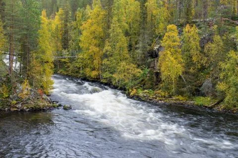 Cliff, stone wall, forest, waterfall and wild river view in autumn. Fall colo 库存照片