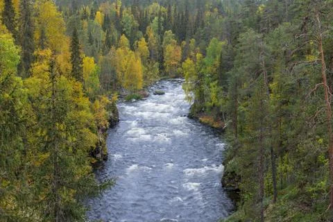 Cliff, stone wall, forest, waterfall and wild river view in autumn. Fall colo Stock Photos