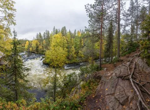Cliff, stone wall, forest, waterfall and wild river panoramic view in autumn. Stock Photos