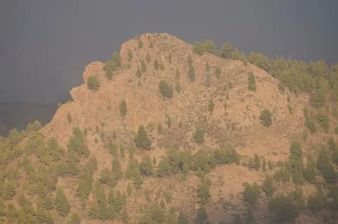 Cliff at sunset. Stock Photos