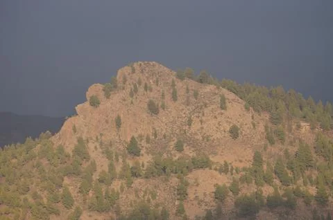 Cliff at sunset. Stock Photos
