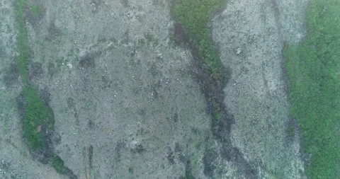 Cliff surface with some of green trees Stock Footage