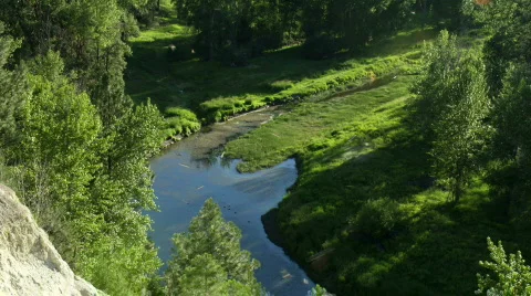 Cliff Swallows Stock Footage 877210