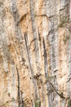 Cliff texture Фото