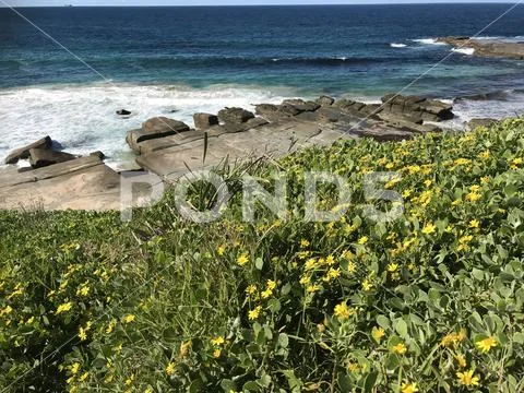 Cliff top Stock Photos