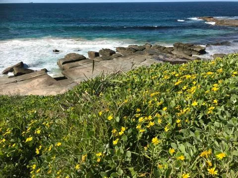 Cliff top Foto stock