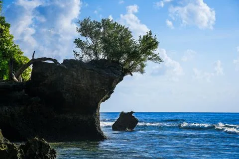 Cliff with tree overlooking blue ocean waves Stock-Fotos