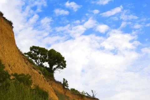 Cliff with tree Stock Photos