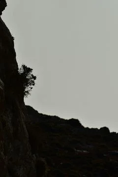 Cliff with tree in vertical silhouette ocean background Greece Foto stock
