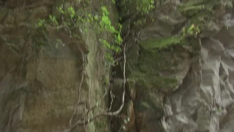 Cliff trees sky stone rocks path forest mountain countryside nature afternoon Stock Footage 330952032