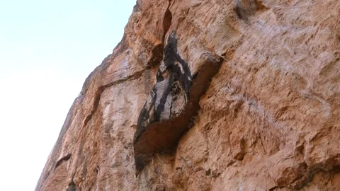 Cliff used by climbers Stock Footage 262962788
