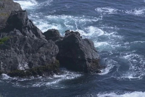 Cliff View Stock Footage 334992